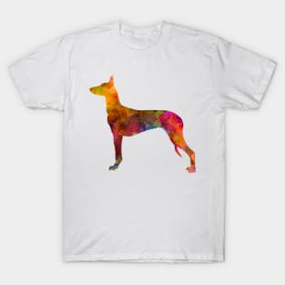 Pharaoh Hound  in watercolor T-Shirt